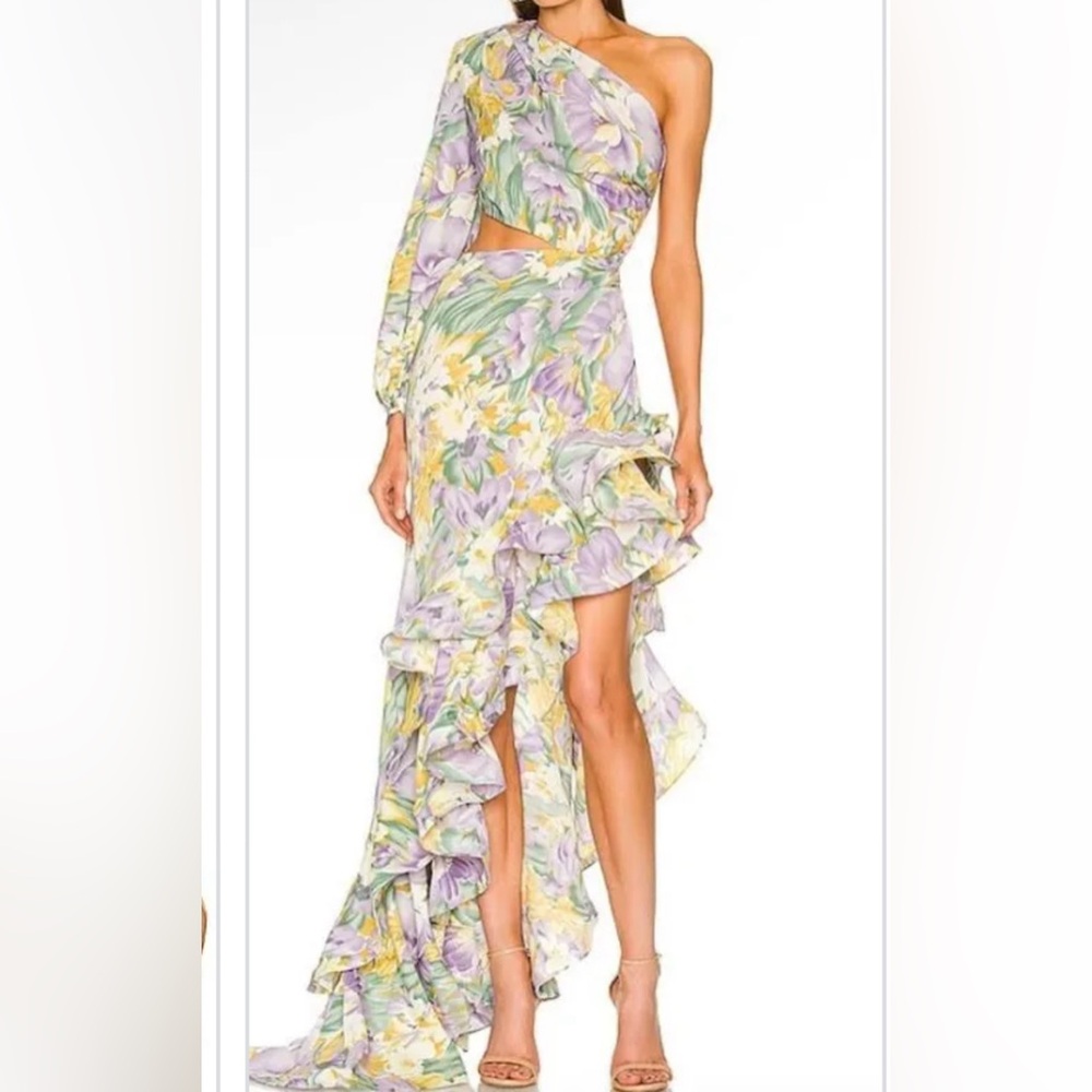 BRONX & BANCO Floral Asymmetrical Ruffle Dress